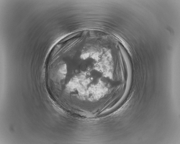 X0000115190779200911181447