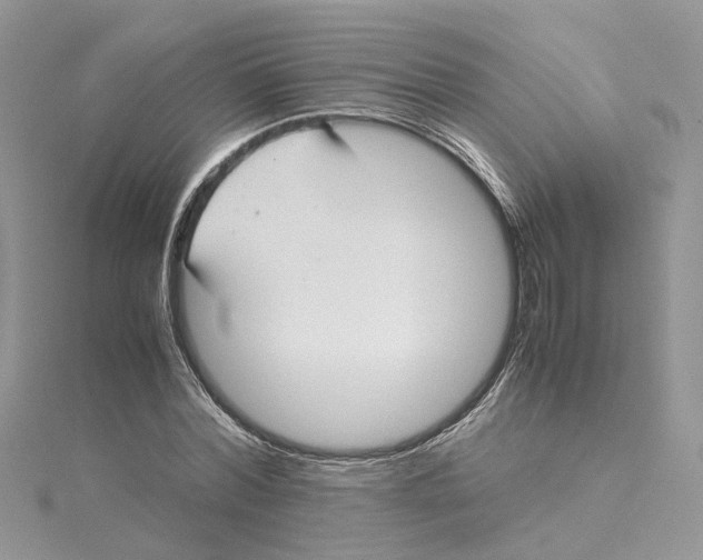 X0000115190780200911181447