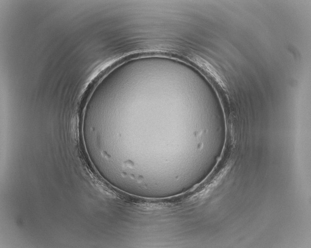 X0000115190781200911181447