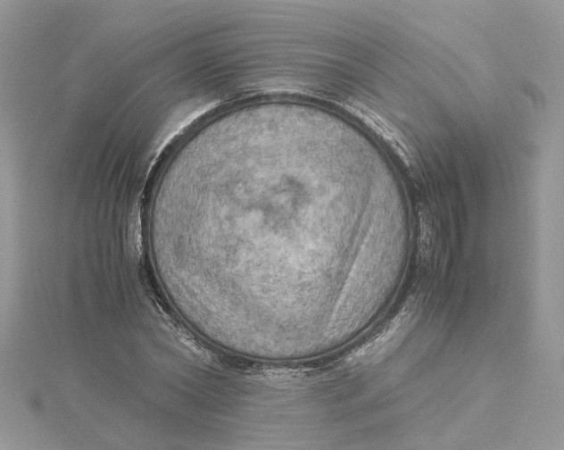 X0000115190782200911181447