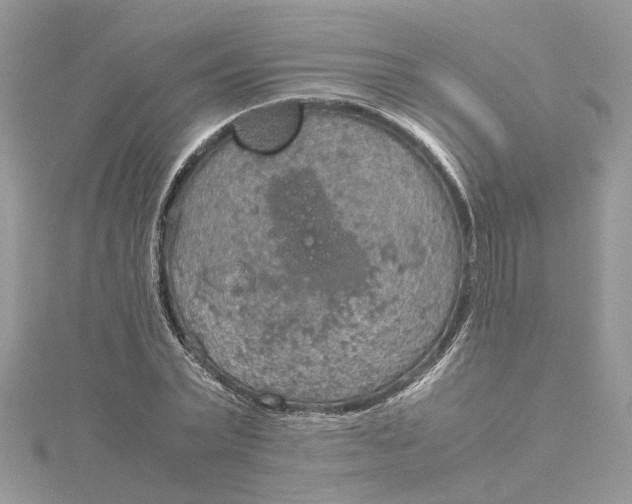 X0000115190783200911181447