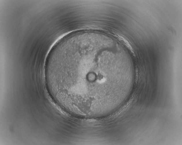 X0000115190784200911181447