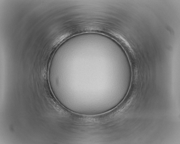 X0000115190785200911181447