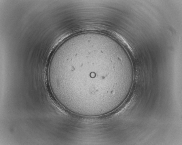 X0000115190786200911181447