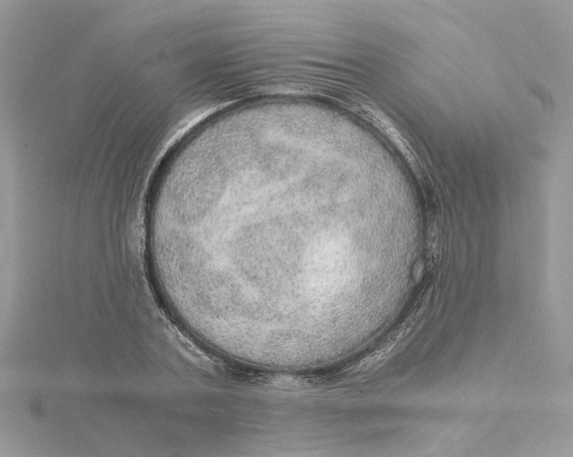 X0000115190787200911181447