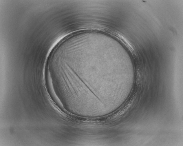 X0000115190788200911181447