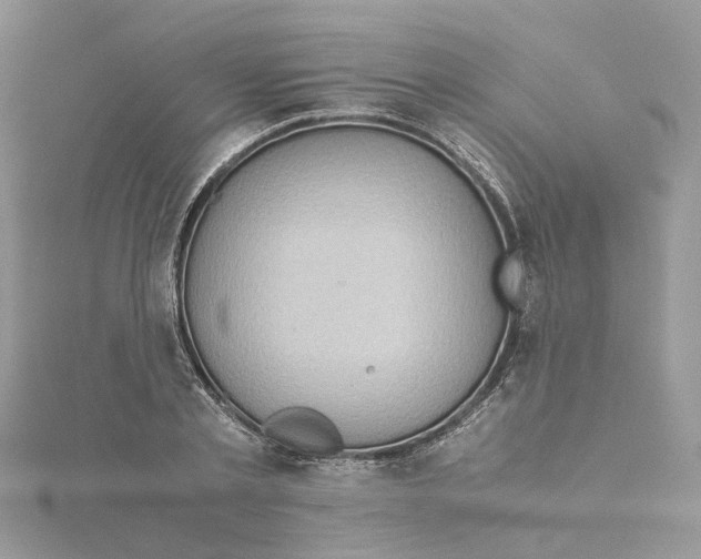 X0000115190789200911181447