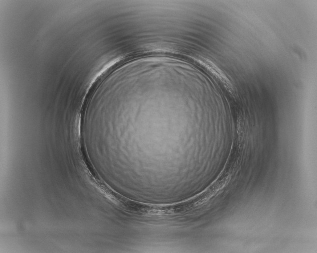 X0000115190790200911181447