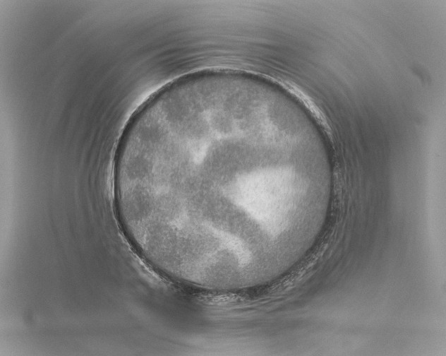 X0000115190791200911181447