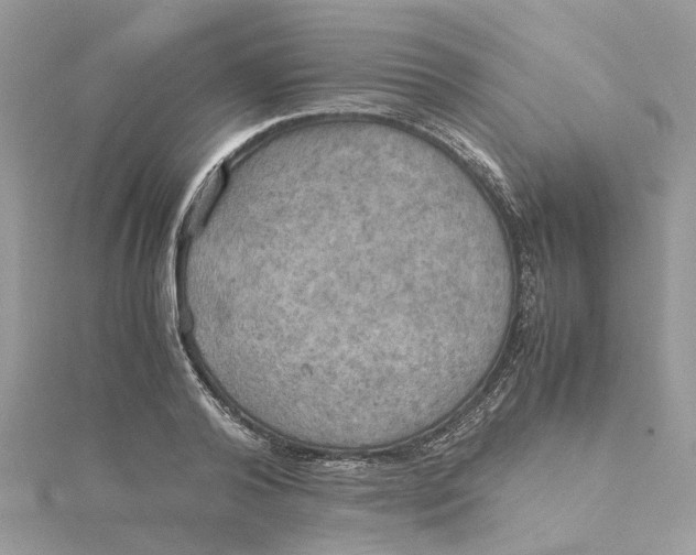 X0000115190792200911181447