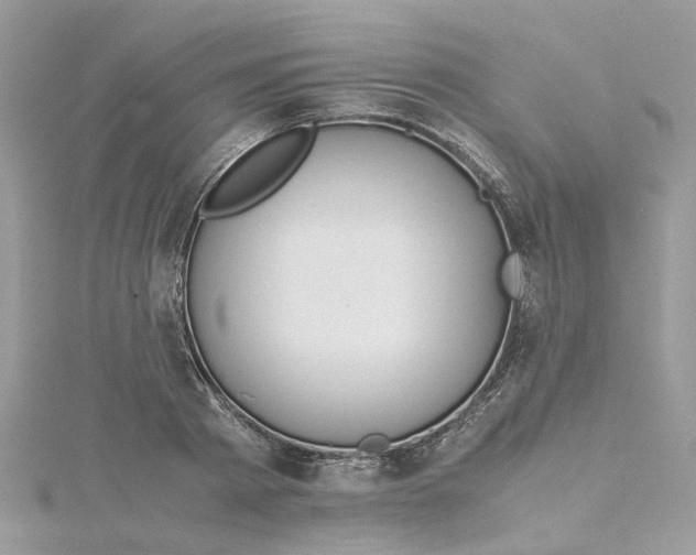 X0000115190793200911181447