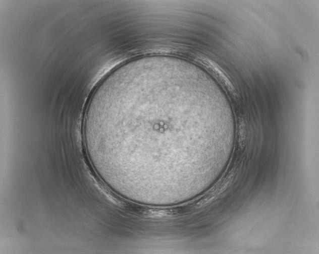 X0000115190794200911181447