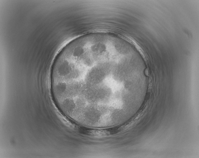 X0000115190795200911181447