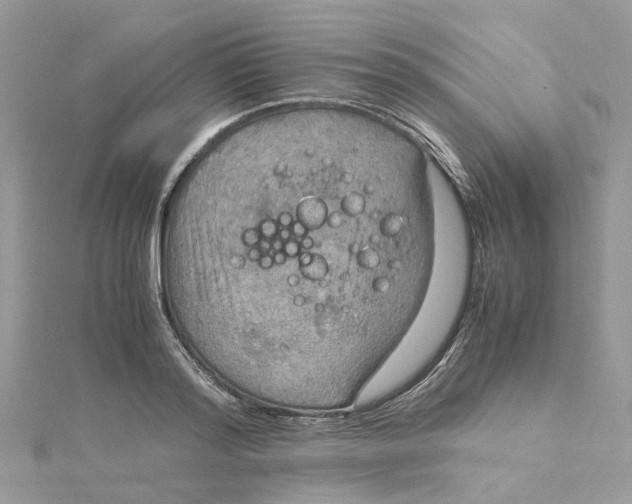 X0000115190796200911181447