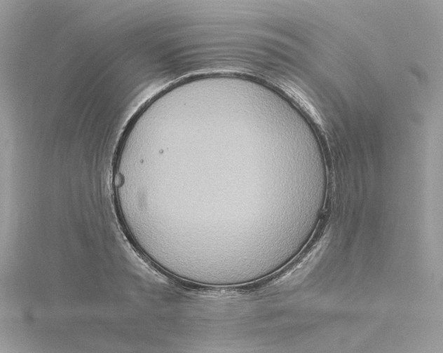 X0000115190797200911181447