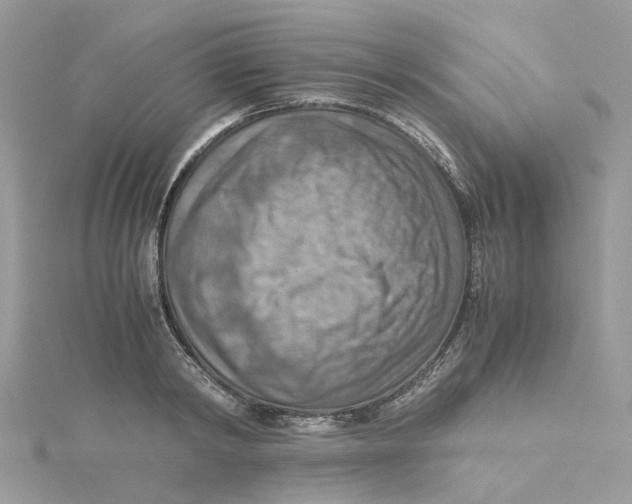 X0000115190798200911181447