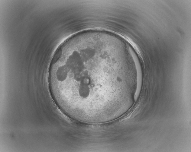 X0000115190799200911181447