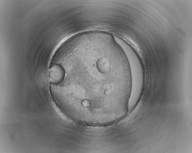 X0000115190800200911181447