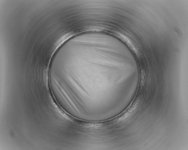 X0000115190802200911181447