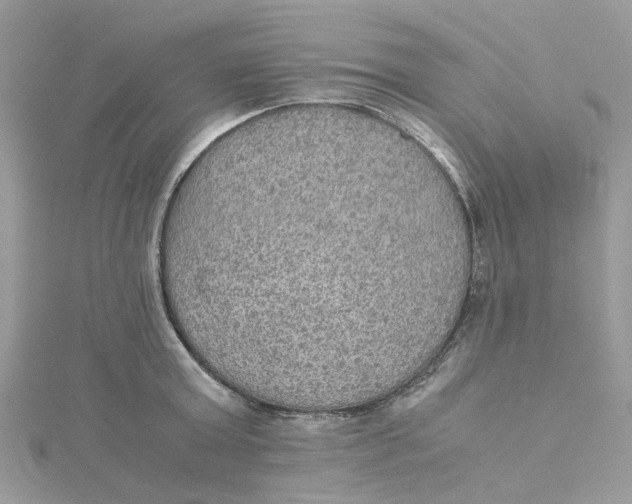 X0000115190803200911181447