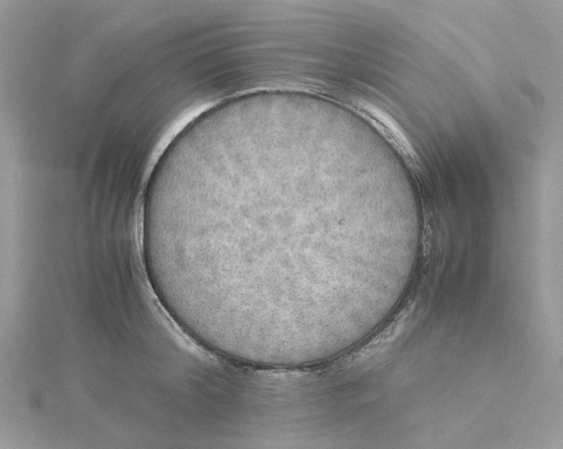 X0000115190804200911181447