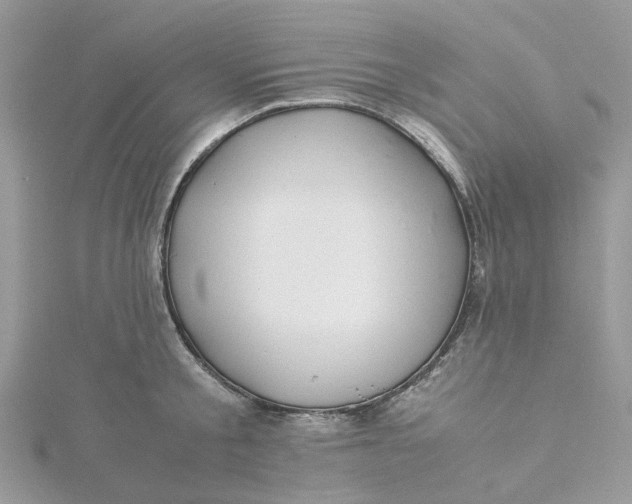 X0000115190805200911181447