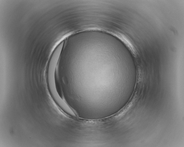 X0000115190806200911181447