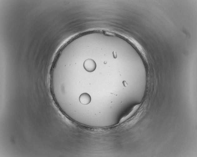 X0000115190807200911181447