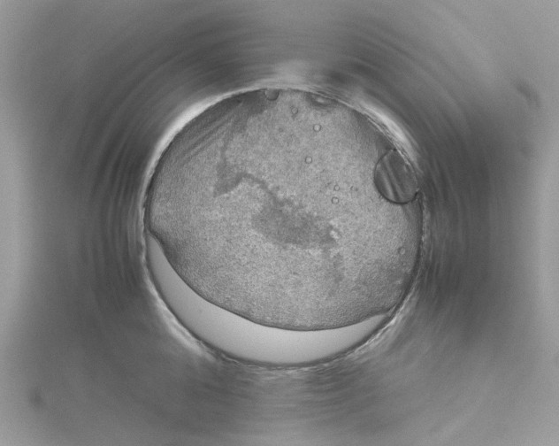 X0000115190808200911181447