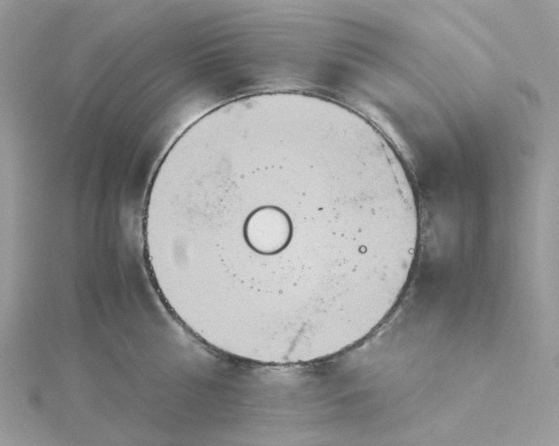 X0000115190810200911181447