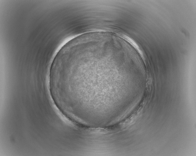 X0000115190811200911181447