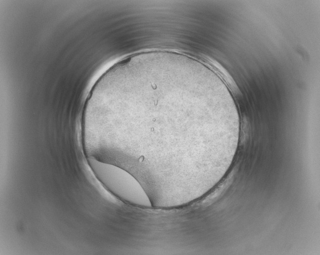 X0000115190812200911181447