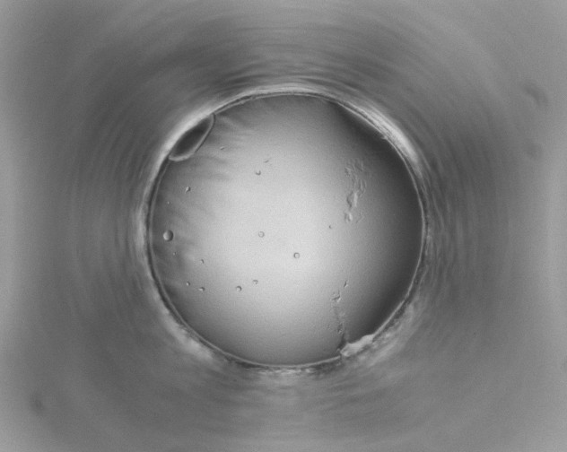 X0000115190813200911181447