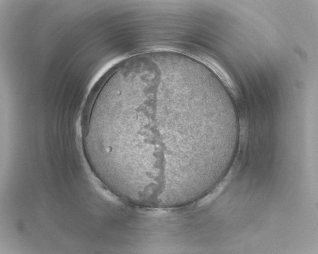 X0000115190814200911181447