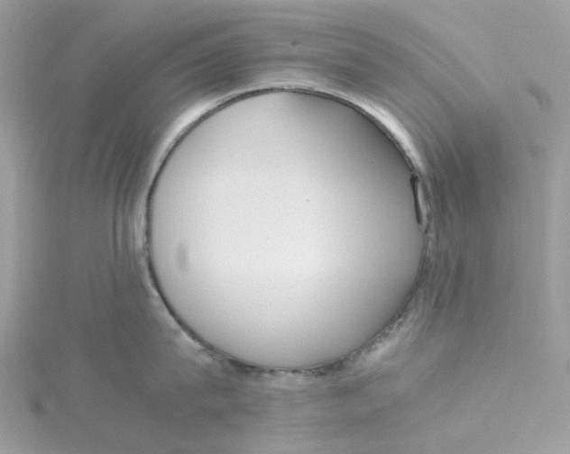 X0000115190815200911181447