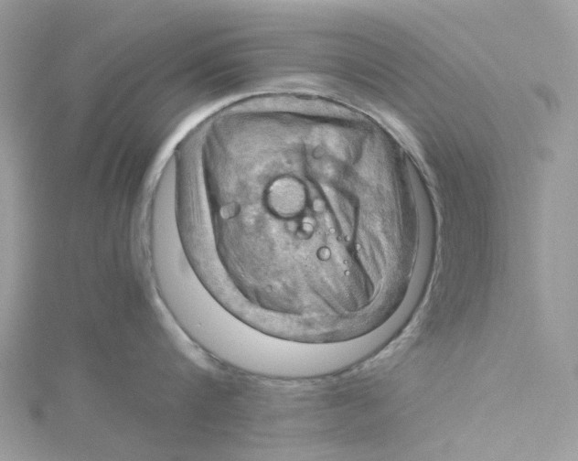 X0000115190816200911181447