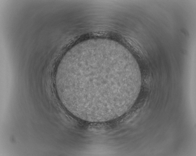 X0000115190817200911181446