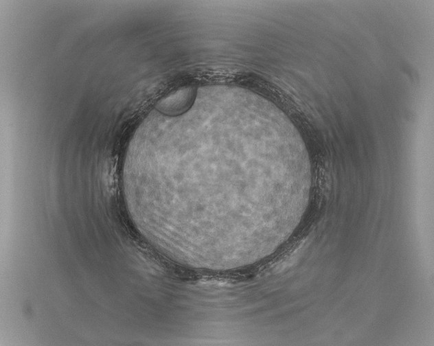 X0000115190818200911181446