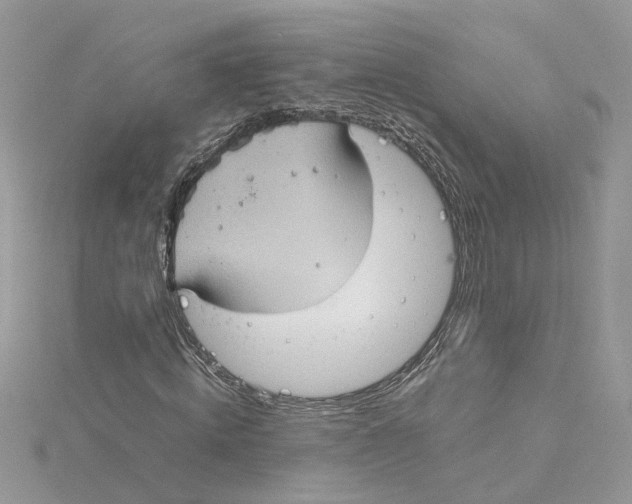 X0000115190820200911181446