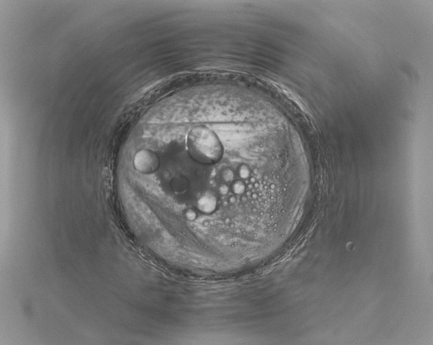 X0000115190821200911181446