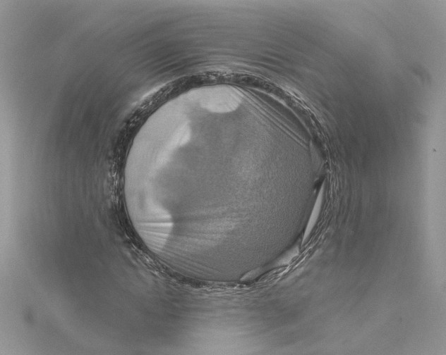 X0000115190822200911181446