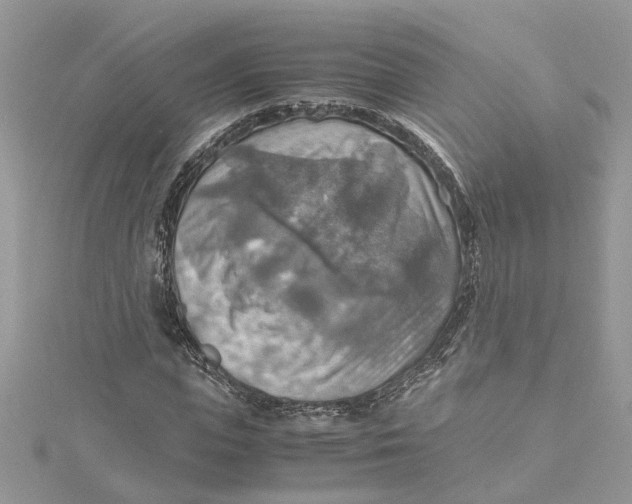 X0000115190823200911181446