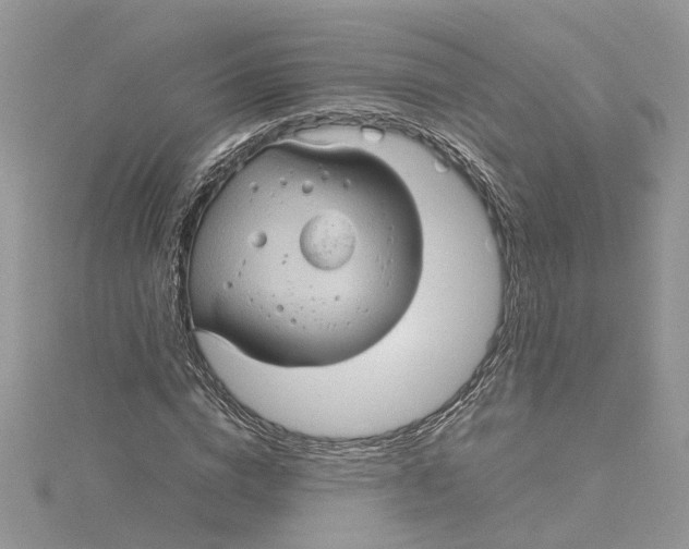 X0000115190824200911181446