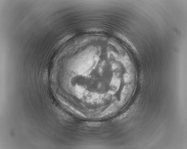 X0000115190825200911181446