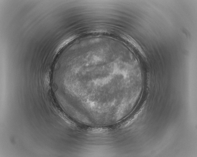 X0000115190826200911181446