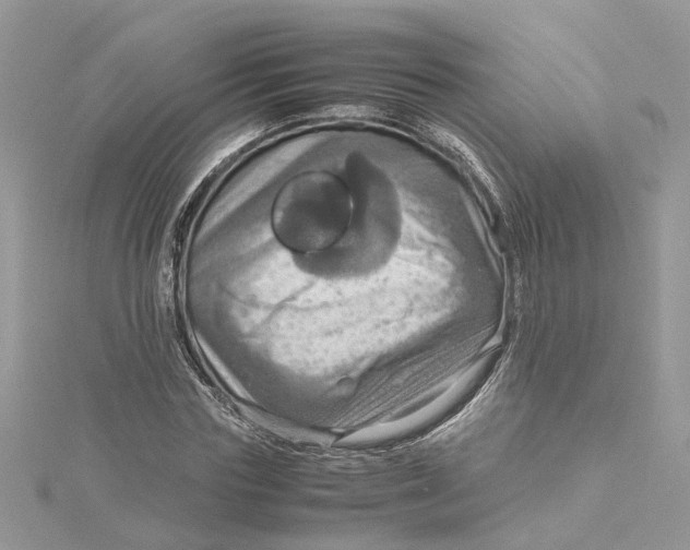 X0000115190827200911181446