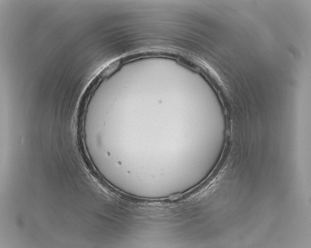 X0000115190828200911181446