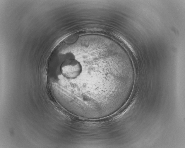 X0000115190829200911181446