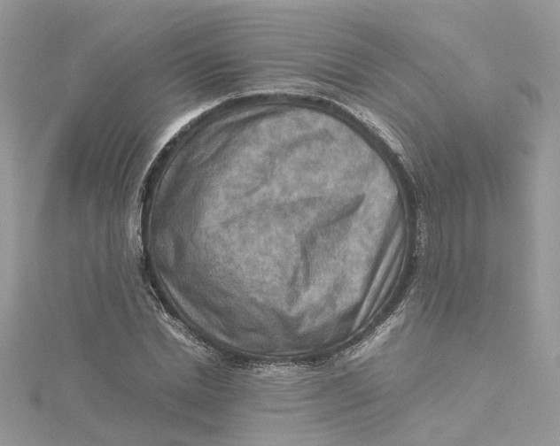 X0000115190830200911181446