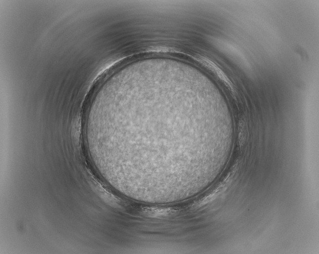 X0000115190831200911181446